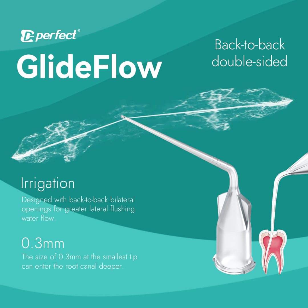 Aiguille d irrigation autocavable 25 mm